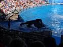 Sea World-107